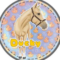 nessa.equestrian