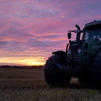 Morgens Früh Abends lange