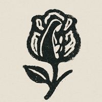 escravodemaria_oficial