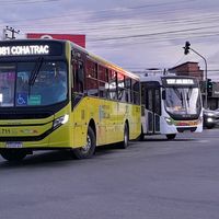 busologo.slz