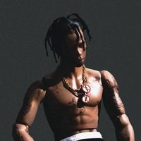 vtmntscoat x sneaky snitch