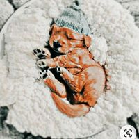 ..dreamxmultifandom