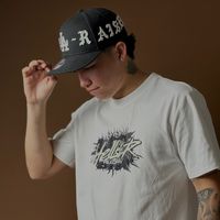 lanegritaxpress