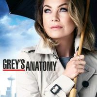 greys_anatomy_mer3