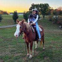 judyonthefarm