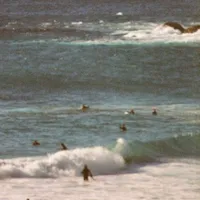 original sound - tud0tem