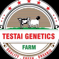 testaigeneticsfarm
