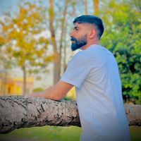 hamzasb007