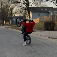 kco.alex