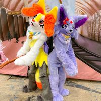 softsuiter
