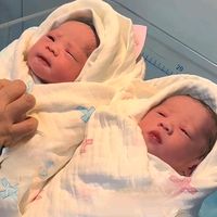 docteurprophetesalomon