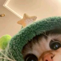 milia_013