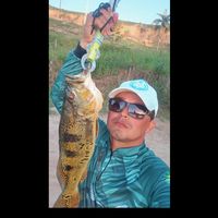 biliscouoberdanpegou