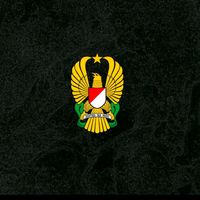 suara asli - "abdinegara"🥏    🌏🔎