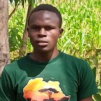 welxam_onsongo