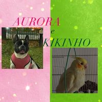 aurora.e.kikinho