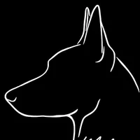 original sound - youssefyoussef0950