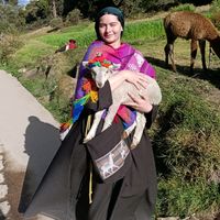 elii.com00