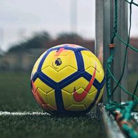 fanaticodeldeporterey