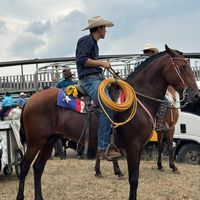 rauleliezermirandagonsa0