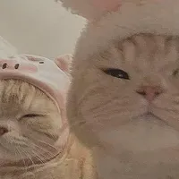 Oh okay.. yeah yeah.. oh okay