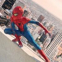 discountspidey.cos