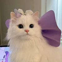 เสียงต้นฉบับ - ยอมเม