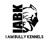 iambullykennels