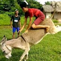 grupoamigodomaranhaoof