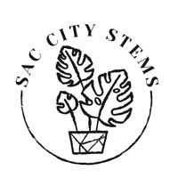 saccitystems