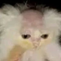 original sound - elmemes468