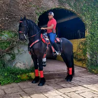 original sound - arminioarrbb