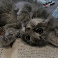 original sound - rolitas_dani17