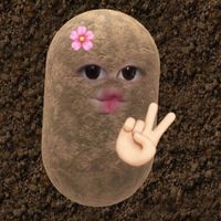 muntombyna