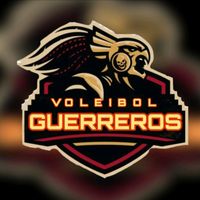 voleibol.guerrers