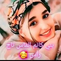 aichefilstongmail.com