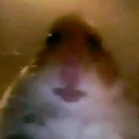 roblox_09891