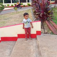 wilmer.dardn