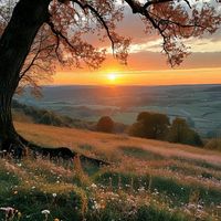 оригинальный звук