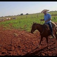 jocimardossanto0