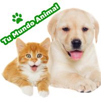 tumundoanimal