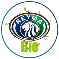 reymaoficial