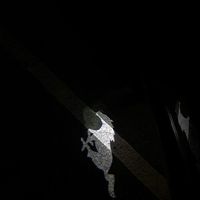 alex_lp52_