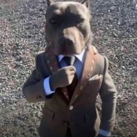 Dancing Garfield low quality