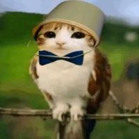 jimmothy_coleslaw42