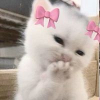 оригінальний звук