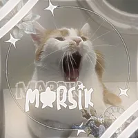 Тгк marsikchaikintrue