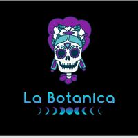 labotanica7
