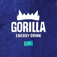 gorillaenergy.kz