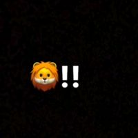 jeidy_40